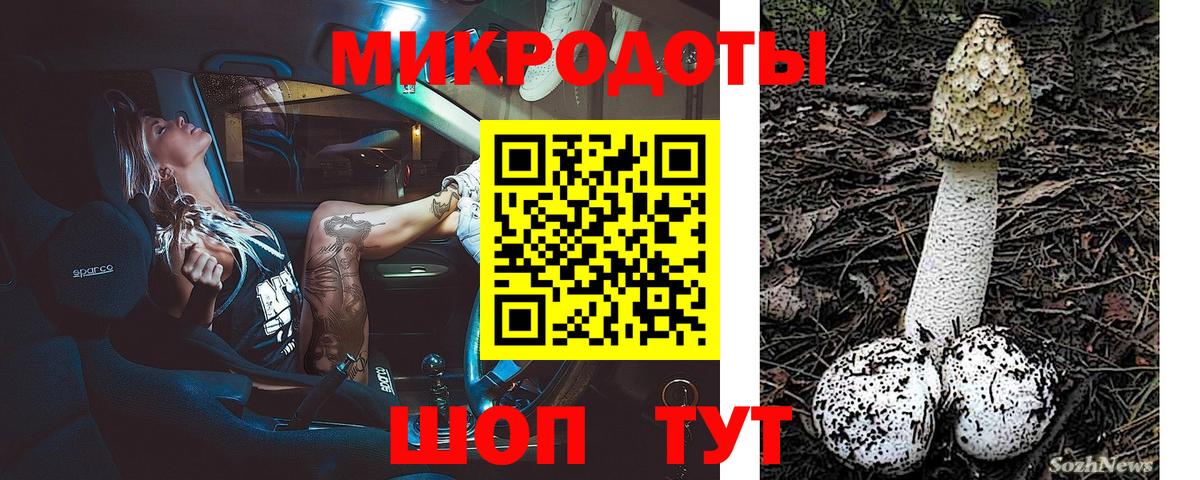 Галлюциногенные грибы Psilocybine cubensis Сорочинск